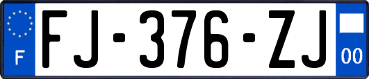 FJ-376-ZJ