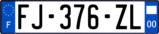 FJ-376-ZL