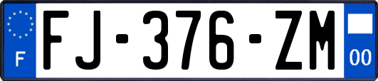 FJ-376-ZM