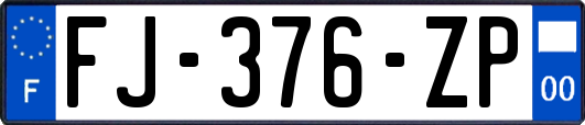 FJ-376-ZP