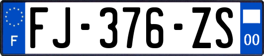 FJ-376-ZS