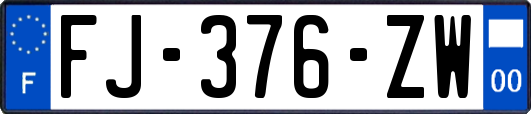 FJ-376-ZW