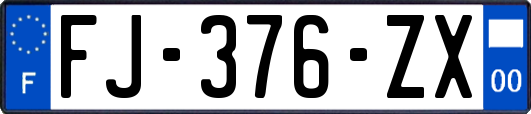 FJ-376-ZX