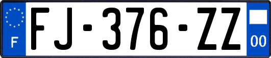 FJ-376-ZZ