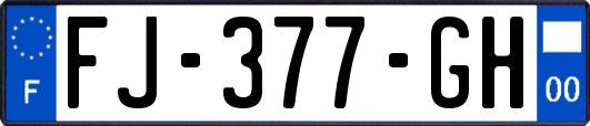 FJ-377-GH