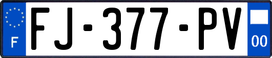 FJ-377-PV