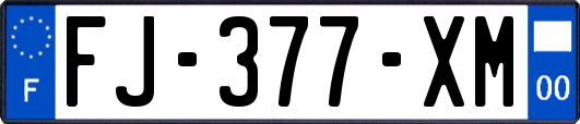 FJ-377-XM