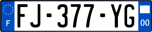 FJ-377-YG