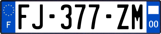 FJ-377-ZM