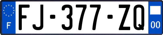 FJ-377-ZQ