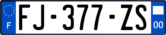 FJ-377-ZS