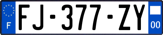 FJ-377-ZY