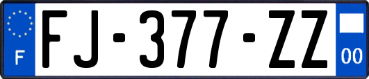 FJ-377-ZZ