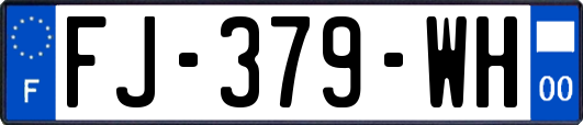 FJ-379-WH