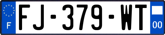 FJ-379-WT