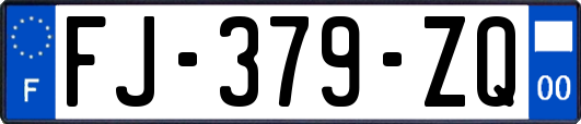 FJ-379-ZQ