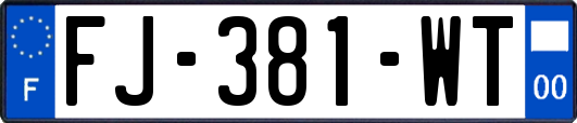 FJ-381-WT