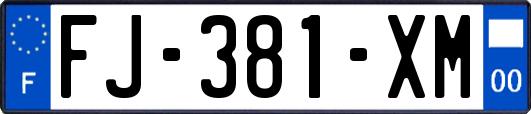 FJ-381-XM