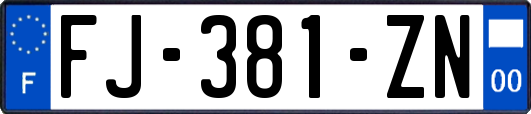 FJ-381-ZN