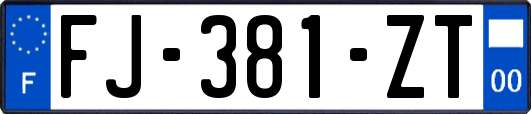 FJ-381-ZT