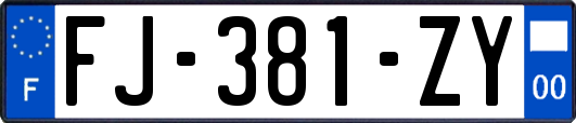 FJ-381-ZY