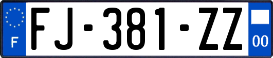 FJ-381-ZZ