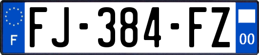 FJ-384-FZ