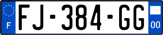 FJ-384-GG