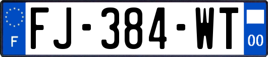 FJ-384-WT