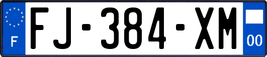 FJ-384-XM