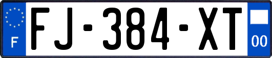 FJ-384-XT