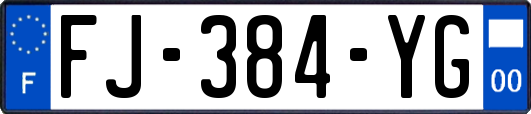 FJ-384-YG