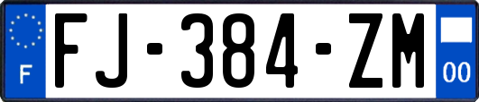 FJ-384-ZM