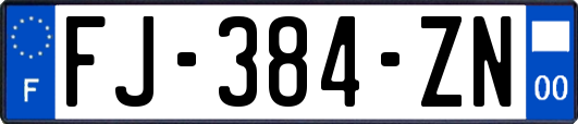 FJ-384-ZN