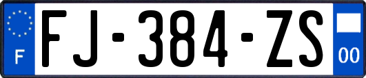 FJ-384-ZS