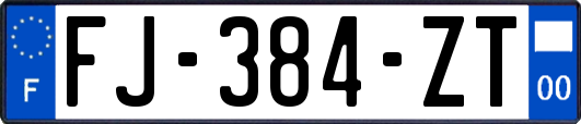 FJ-384-ZT