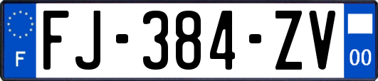 FJ-384-ZV