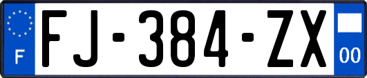 FJ-384-ZX