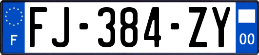 FJ-384-ZY