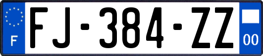 FJ-384-ZZ