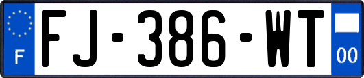 FJ-386-WT