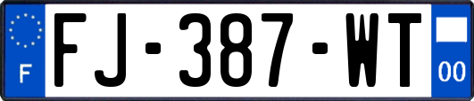 FJ-387-WT