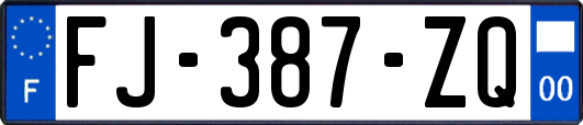 FJ-387-ZQ