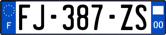 FJ-387-ZS