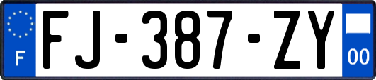 FJ-387-ZY