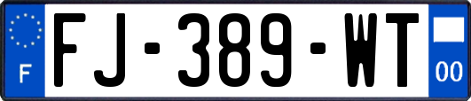 FJ-389-WT