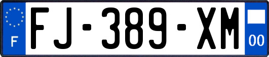 FJ-389-XM