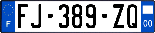 FJ-389-ZQ