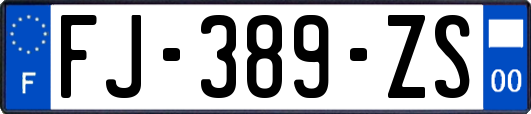 FJ-389-ZS