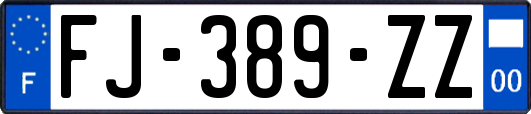 FJ-389-ZZ